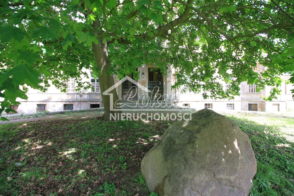 Lokal usługowy na sprzedaż, 1680&nbsp;m², Strzyżno - zdjęcie 5