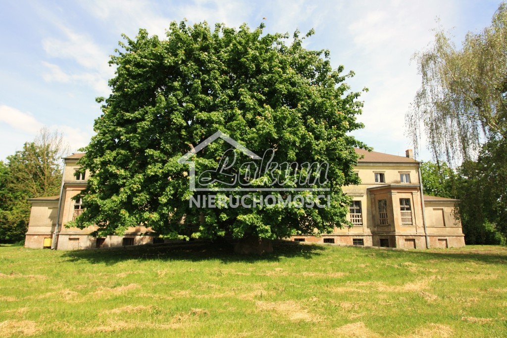 Lokal usługowy na sprzedaż, 1680&nbsp;m², Strzyżno - zdjęcie 1