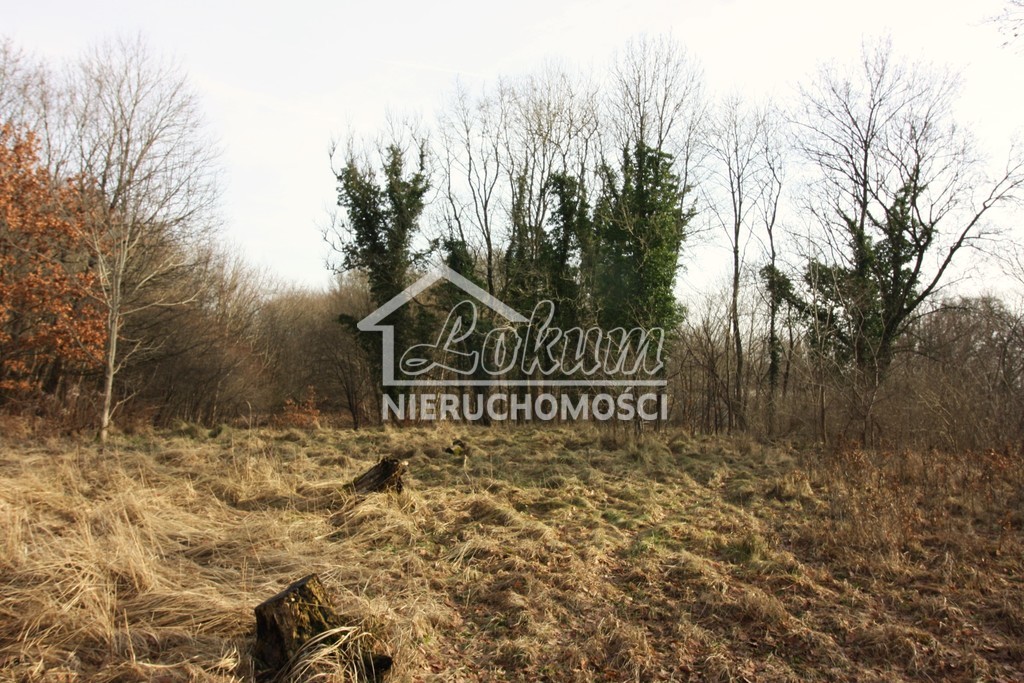 Lokal usługowy na sprzedaż, 800&nbsp;m², Storkowo - zdjęcie 17