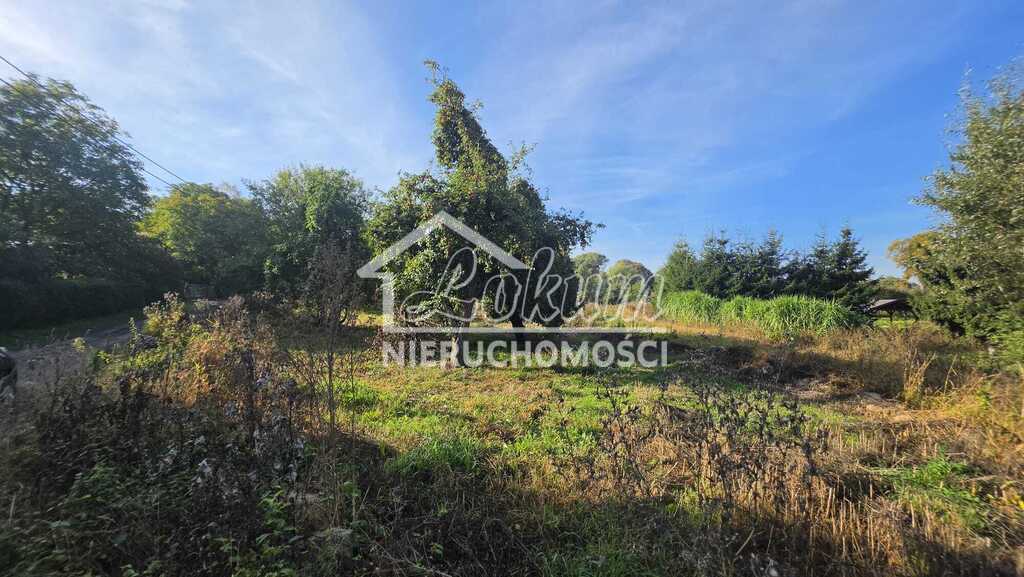 Działka rolna 1780&nbsp;m², Brokęcino - zdjęcie 4