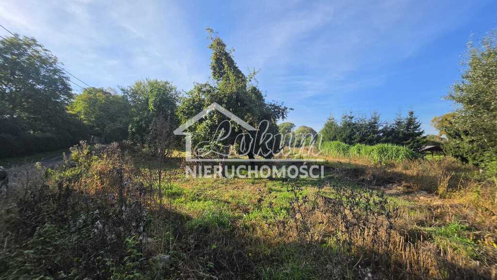 Działka rolna 1780&nbsp;m², Brokęcino - zdjęcie 3
