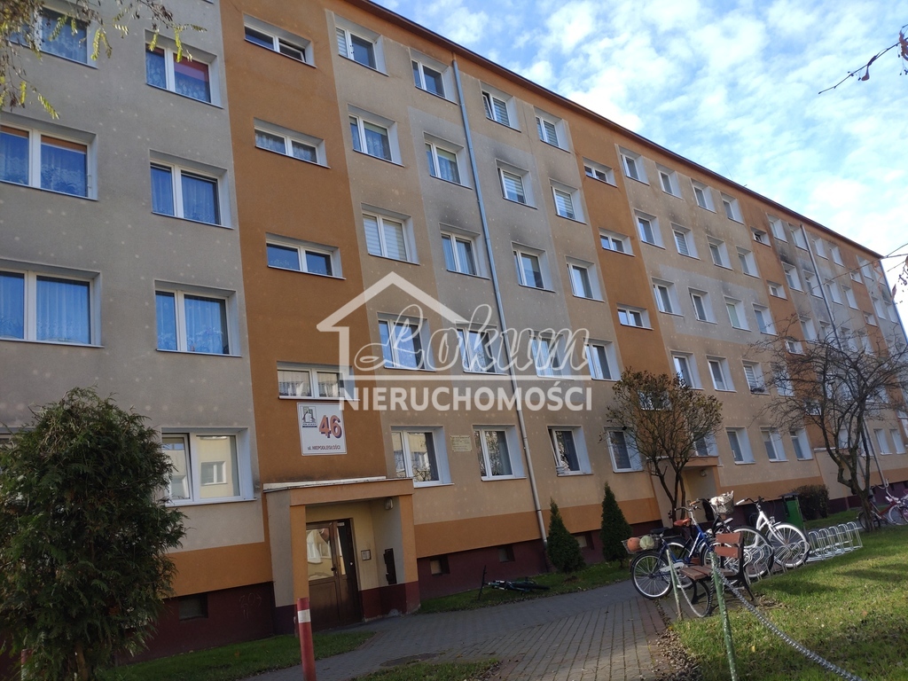 Mieszkanie 54,97 m², Okonek, Niepodległości - zdjęcie 4