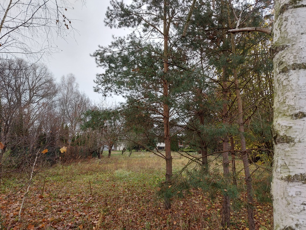 Działka budowlana 2884&nbsp;m², Kalisz, Osadnicza - zdjęcie 3