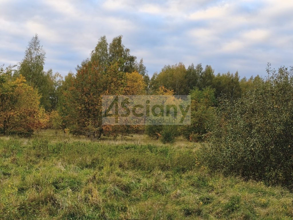 Działka budowlana 1000&nbsp;m², Stara Wieś - zdjęcie 2