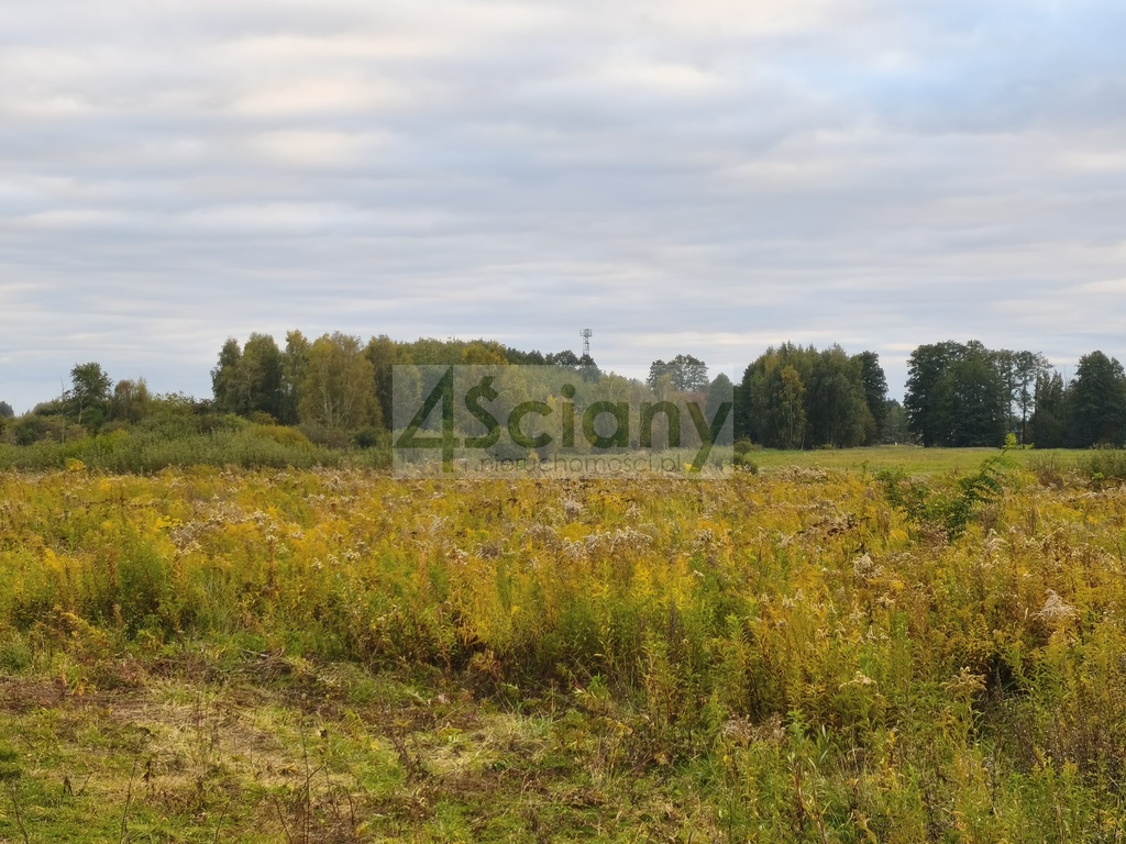 Działka budowlana 1000&nbsp;m², Stara Wieś - zdjęcie 6
