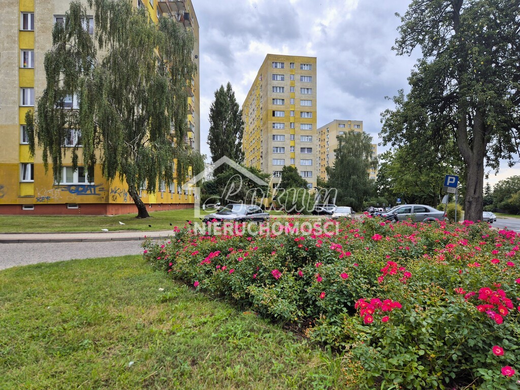 Mieszkanie 44,2&nbsp;m², Szczecin, Hieronima Derdowskiego - zdjęcie 7