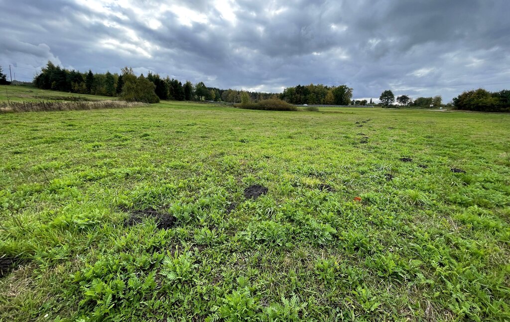 Działka budowlana 1486 m², Czeczewo, Czeczewska - zdjęcie 4