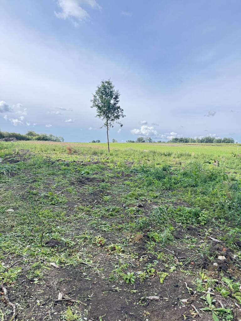Działka budowlana 1000&nbsp;m², Pokrzywnica - zdjęcie 1