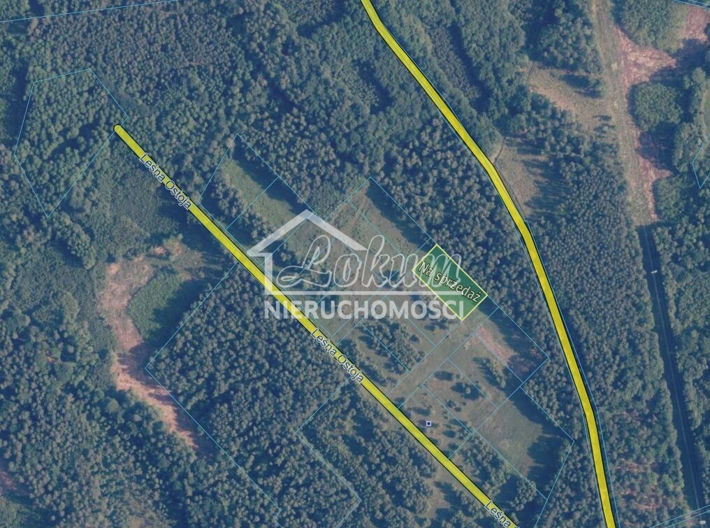 Działka budowlana 3249&nbsp;m², Krzywice - zdjęcie 3