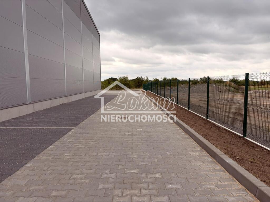 Magazyn do wynajęcia, 500&nbsp;m², Skarbimierzyce - zdjęcie 2
