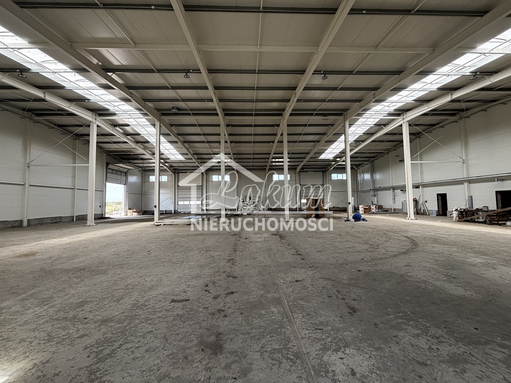 Magazyn do wynajęcia, 500&nbsp;m², Skarbimierzyce - zdjęcie 6