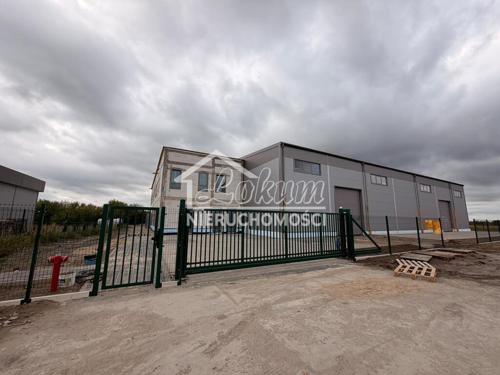 Magazyn do wynajęcia, 500&nbsp;m², Skarbimierzyce - zdjęcie 1