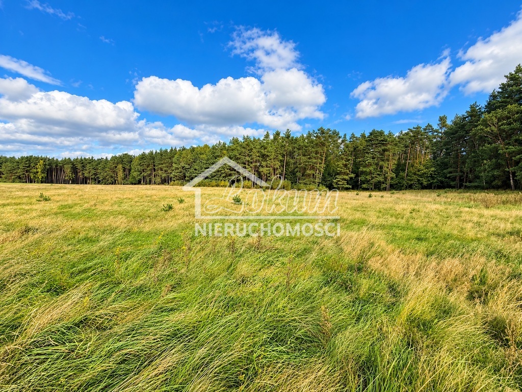 Działka budowlana 3813&nbsp;m², Drzewica - zdjęcie 2