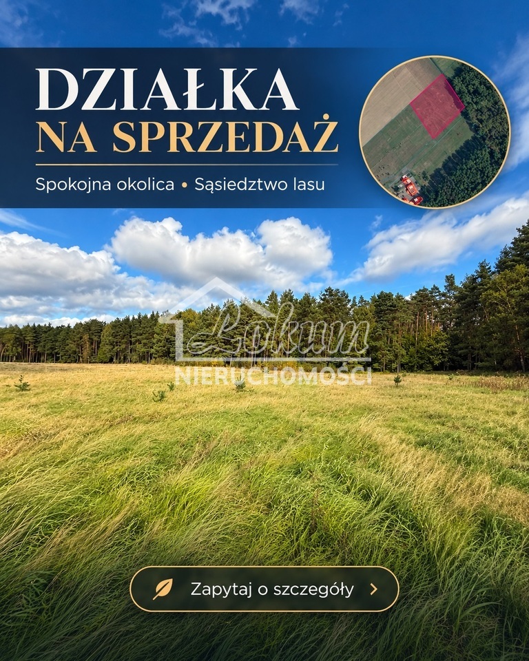 Działka budowlana 3813&nbsp;m², Drzewica - zdjęcie 3