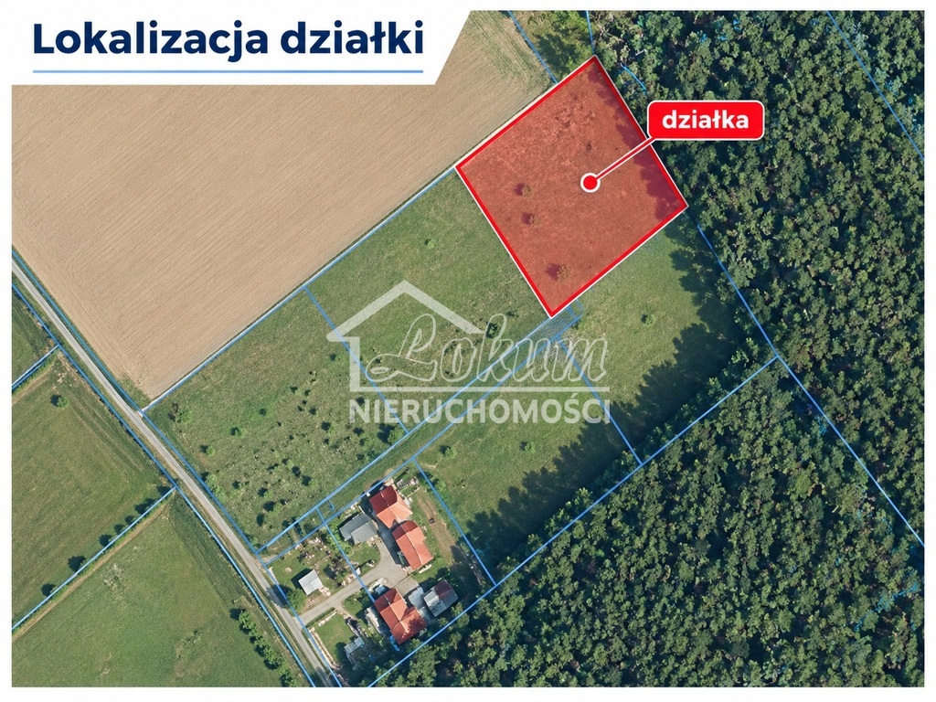 Działka budowlana 3813&nbsp;m², Drzewica - zdjęcie 4