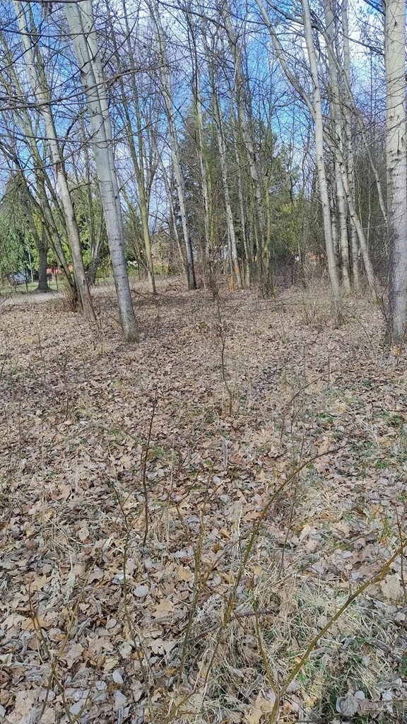 Działka budowlana 631 m², Żywiec - zdjęcie 4