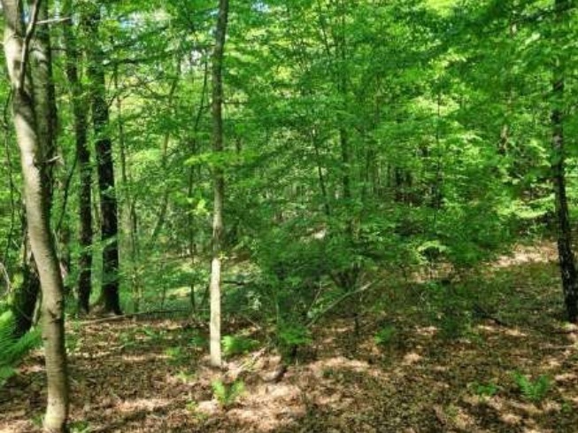 Dom 70&nbsp;m², Izdebnik - zdjęcie 8
