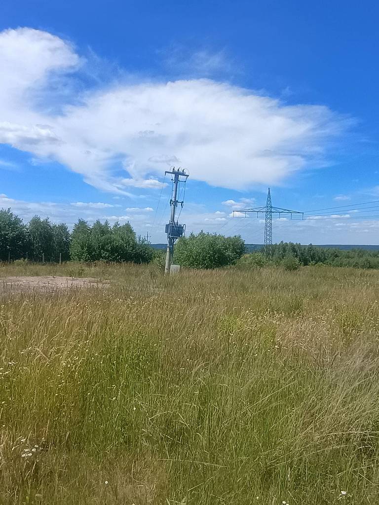 Działka inwestycyjna 5,97&nbsp;ha, Dąbrowa, Przemysłowa - zdjęcie 2