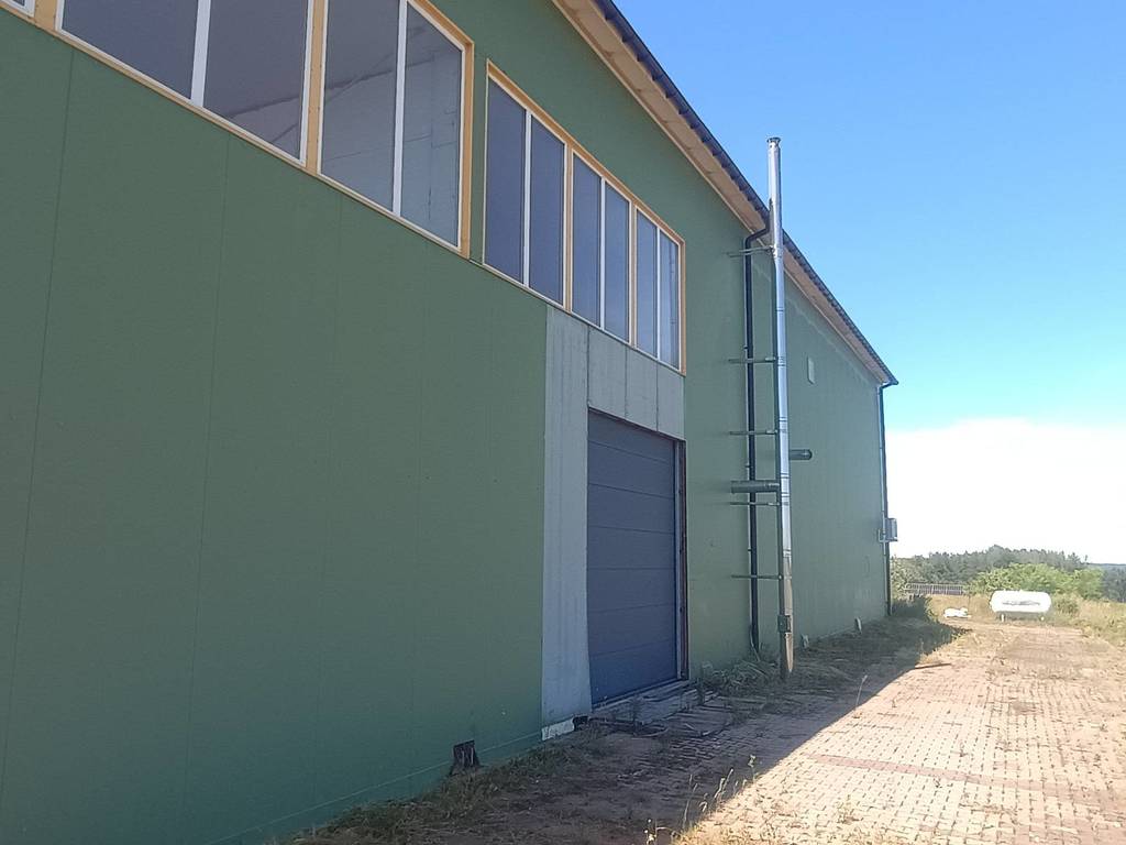 Działka inwestycyjna 5,97&nbsp;ha, Dąbrowa, Przemysłowa - zdjęcie 8