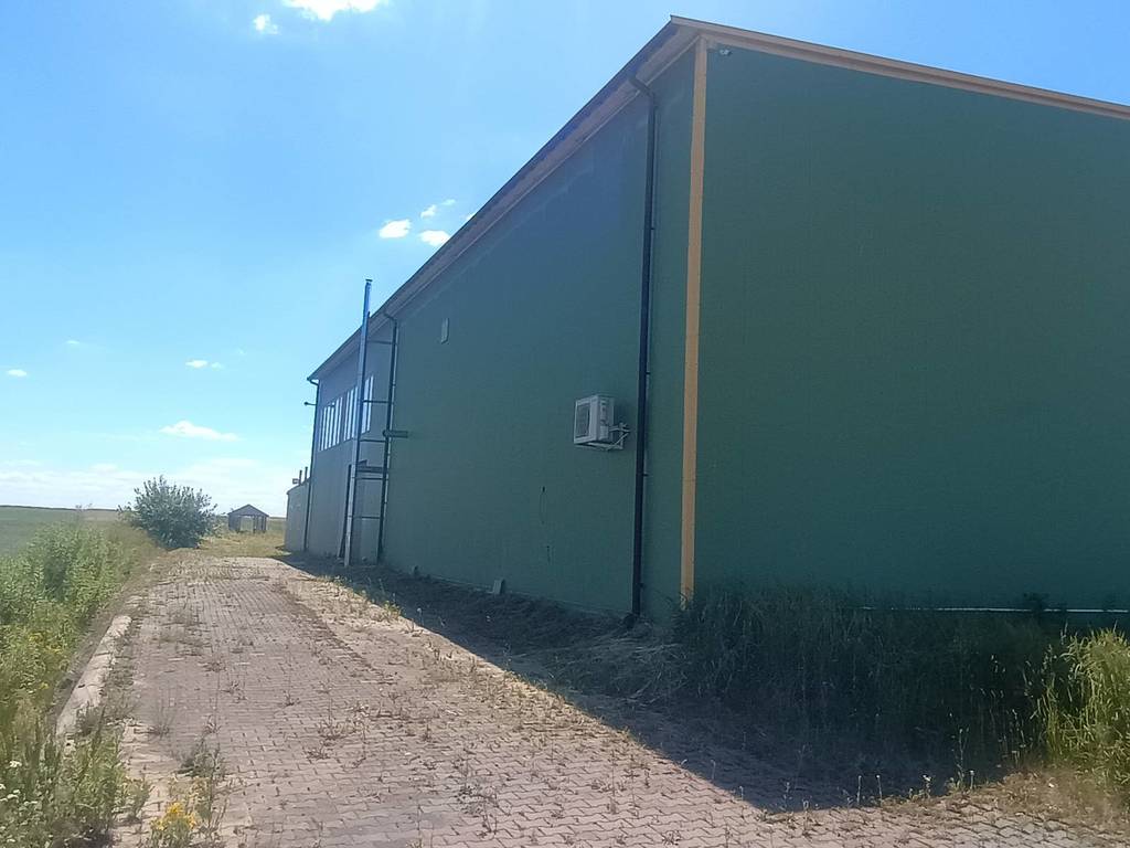 Działka inwestycyjna 5,97&nbsp;ha, Dąbrowa, Przemysłowa - zdjęcie 7