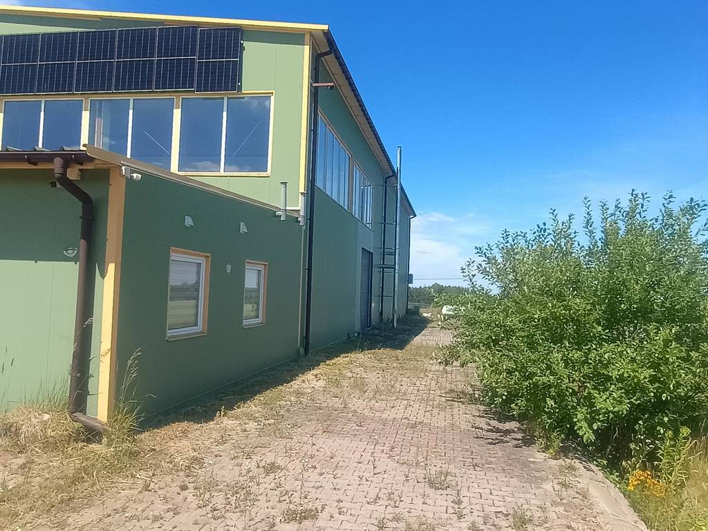 Działka inwestycyjna 5,97&nbsp;ha, Dąbrowa, Przemysłowa - zdjęcie 6