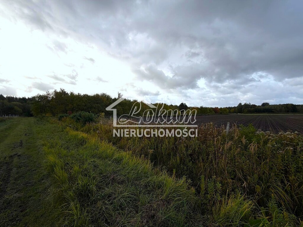Działka budowlana 6910 m², Szczecin, Stary Szlak - zdjęcie 2