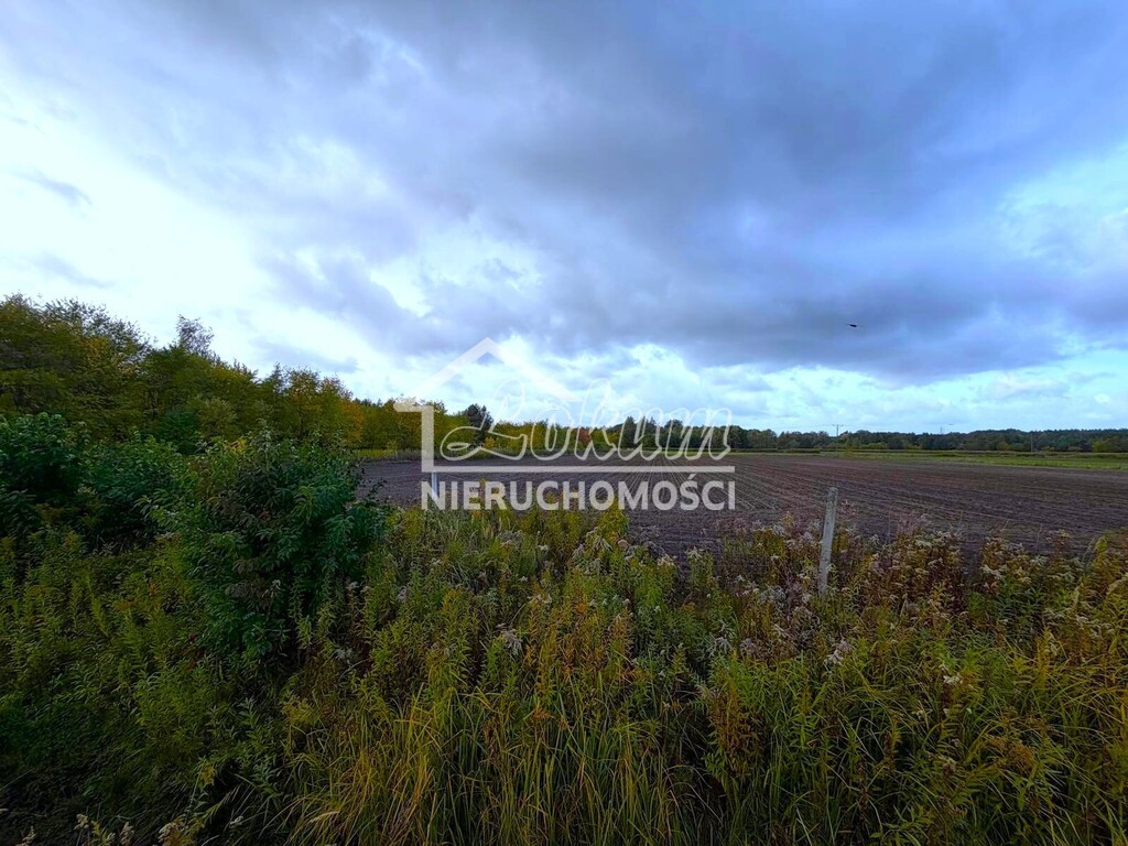 Działka budowlana 6910 m², Szczecin, Stary Szlak - zdjęcie 1