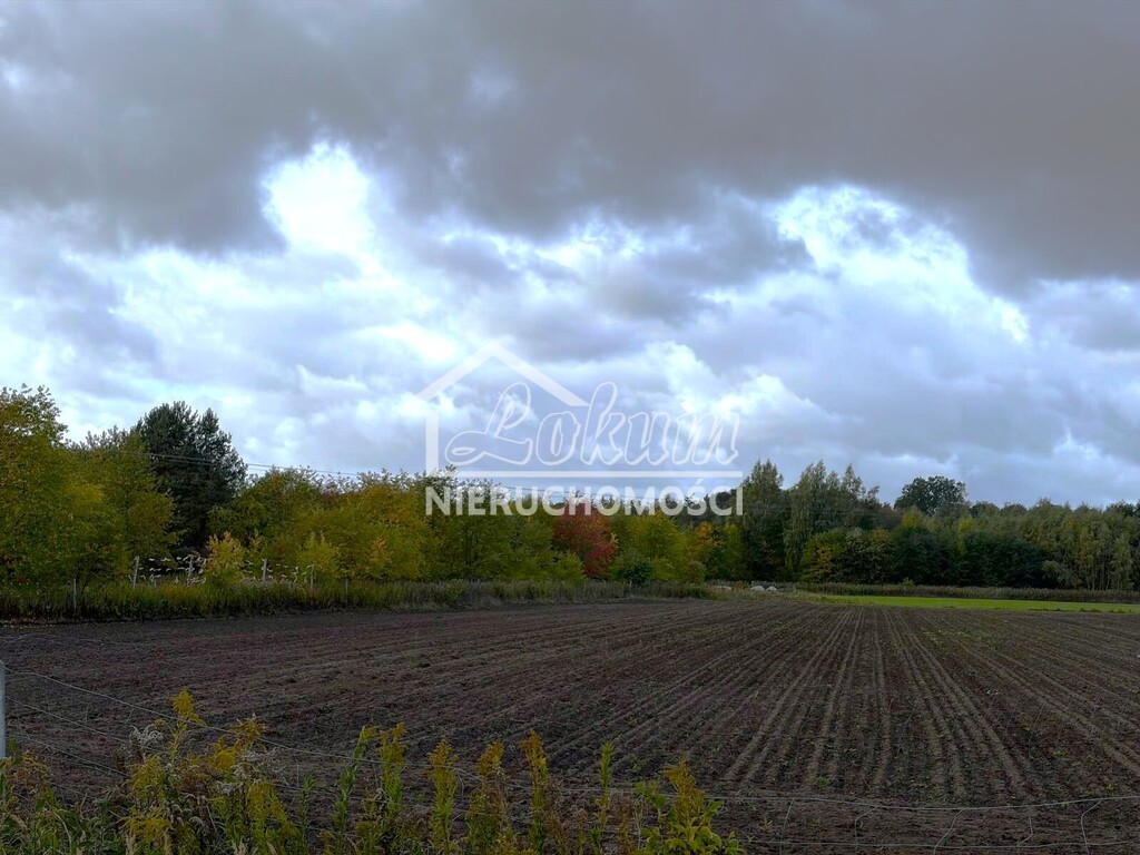 Działka budowlana 6910 m², Szczecin, Stary Szlak - zdjęcie 5