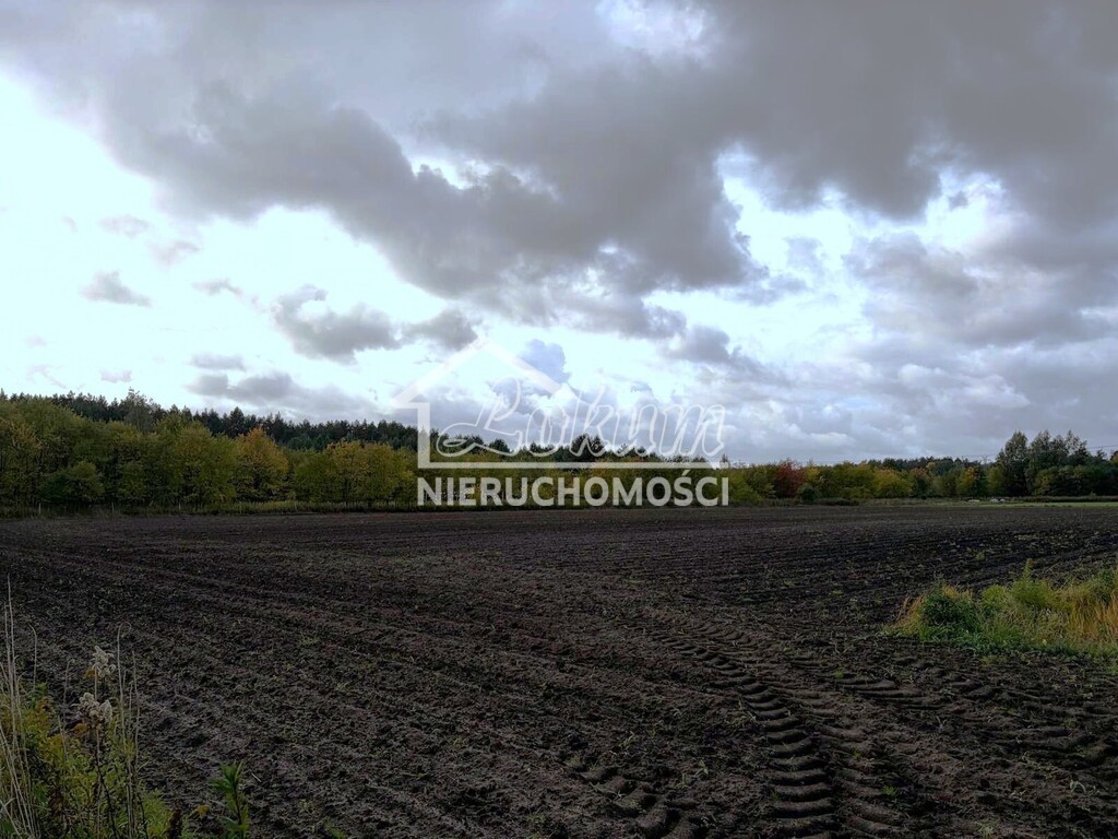 Działka budowlana 6910 m², Szczecin, Stary Szlak - zdjęcie 4