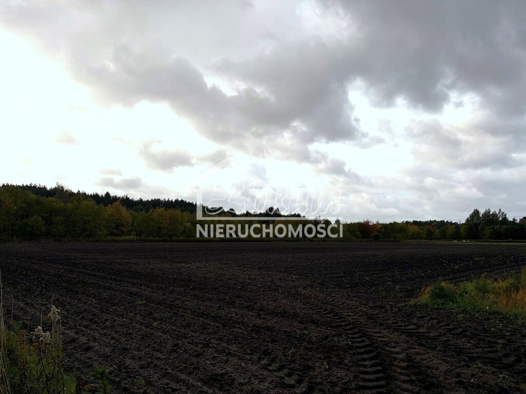 Działka budowlana 6910 m², Szczecin, Stary Szlak - zdjęcie 3