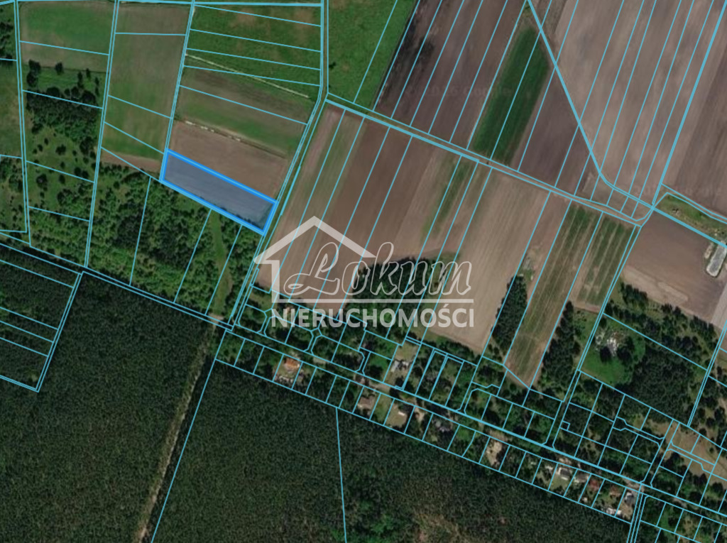 Działka budowlana 6910 m², Szczecin, Stary Szlak - zdjęcie 7