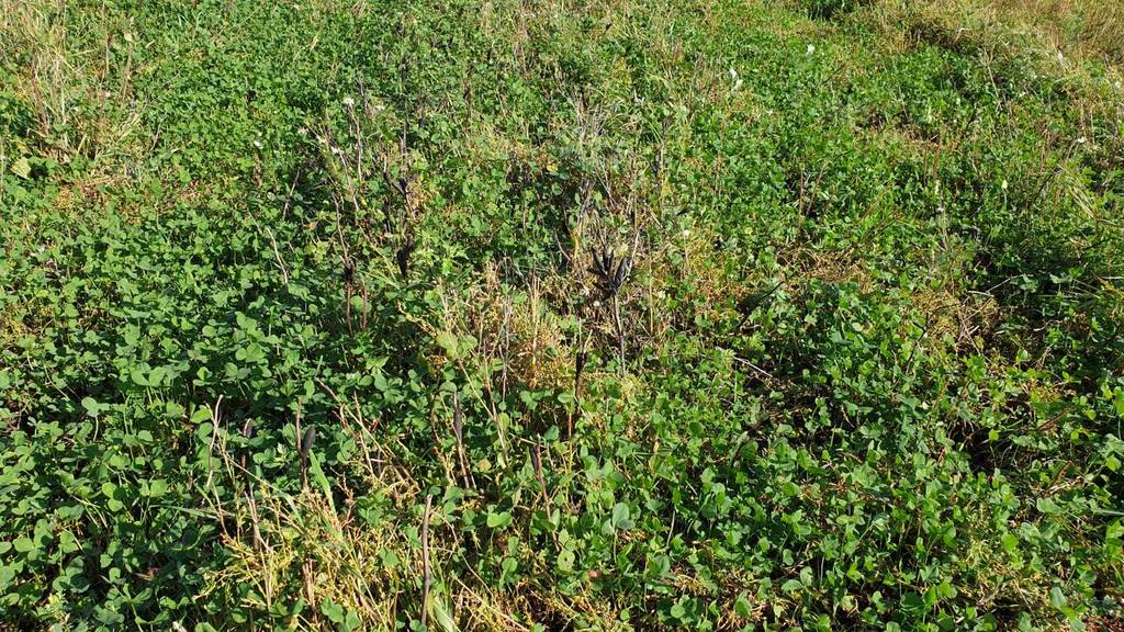 Działka gospodarstwo 189,00 ha, Lidzbark Warmiński - zdjęcie 1
