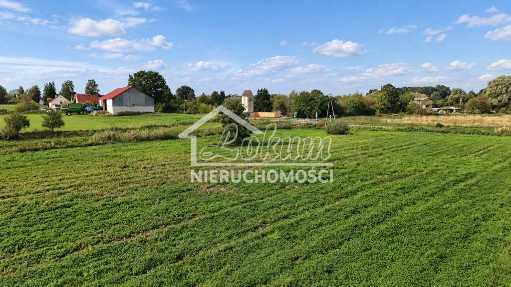 Działka budowlana 3,23&nbsp;ha, Radzanek - zdjęcie 4