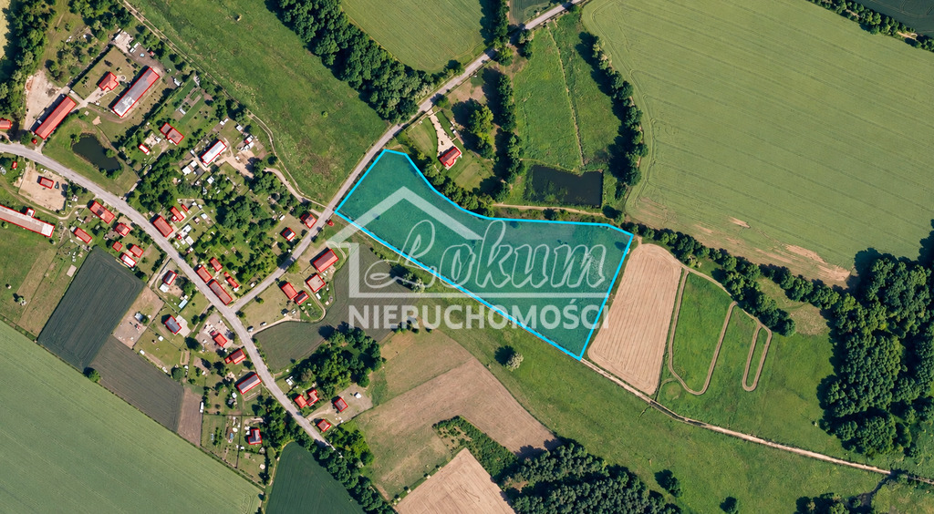 Działka budowlana 3,23&nbsp;ha, Radzanek - zdjęcie 2