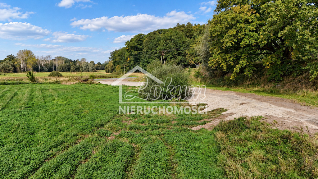 Działka budowlana 3,23&nbsp;ha, Radzanek - zdjęcie 5