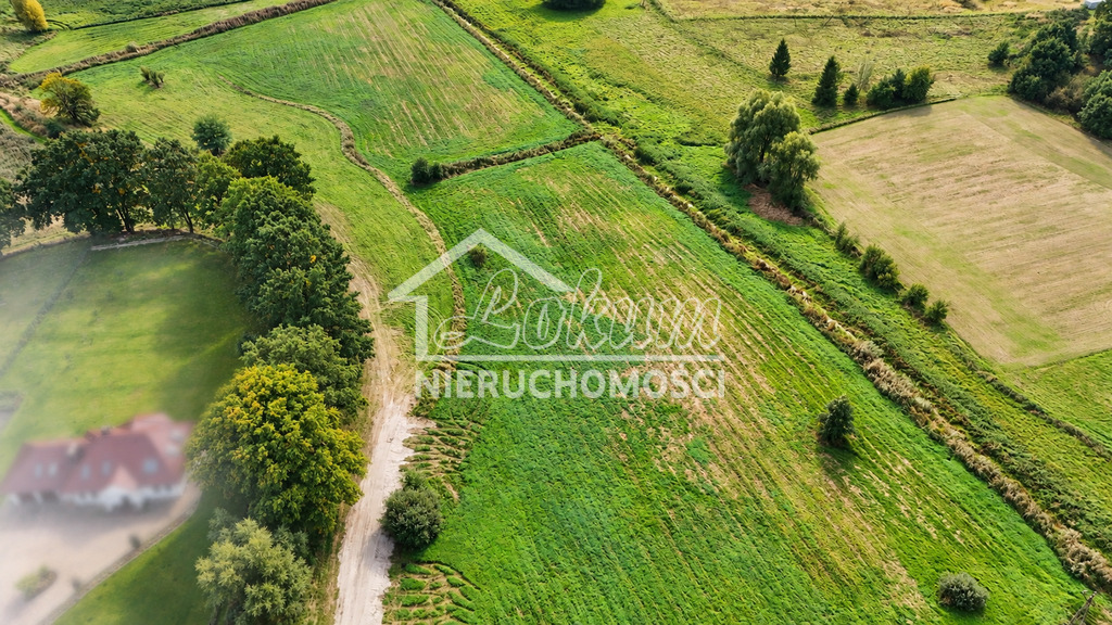 Działka budowlana 3,23&nbsp;ha, Radzanek - zdjęcie 3