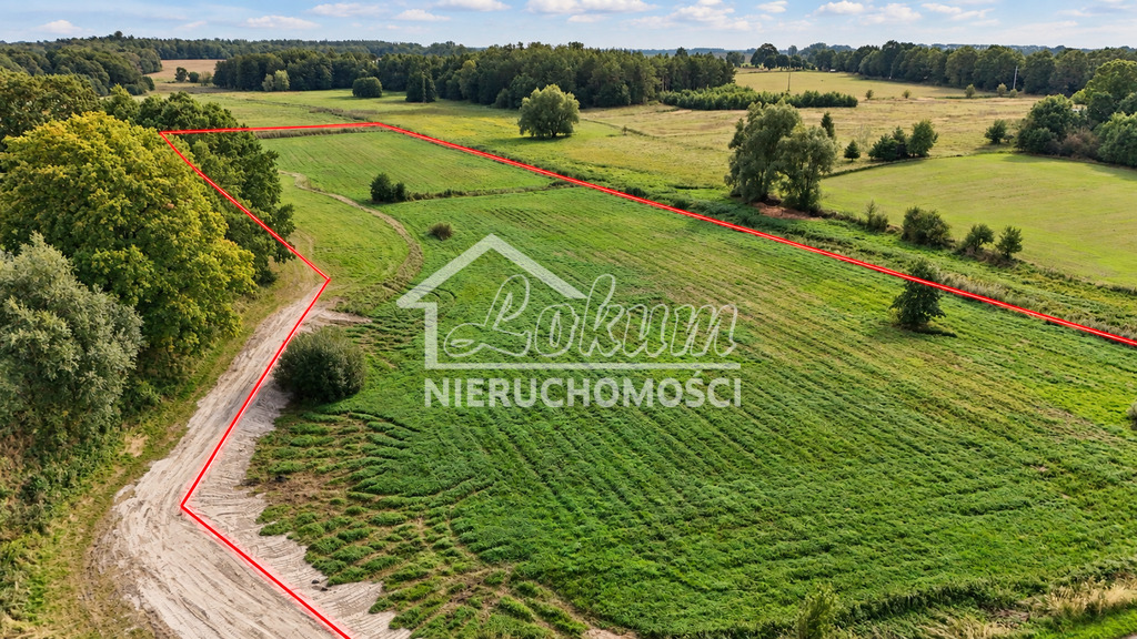 Działka budowlana 3,23&nbsp;ha, Radzanek - zdjęcie 1
