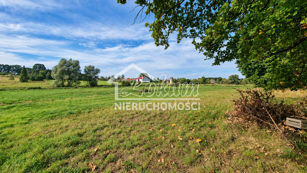 Działka budowlana 3,23&nbsp;ha, Radzanek - zdjęcie 9