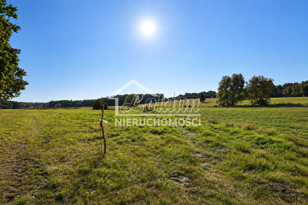 Działka budowlana 3,23&nbsp;ha, Radzanek - zdjęcie 7