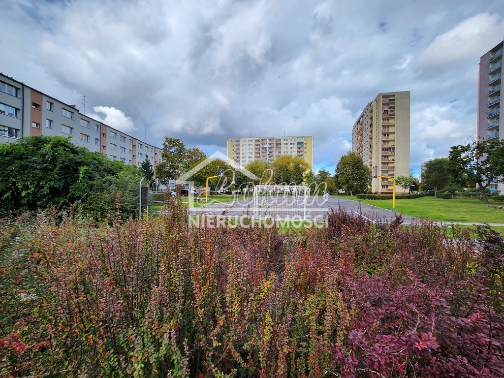 Mieszkanie 53,5 m², Szczecin, Aleksandra Kostki Napierskiego - zdjęcie 12