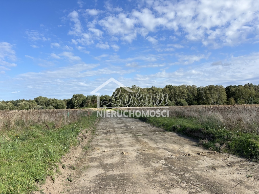 Działka budowlana 954&nbsp;m², Długołęka - zdjęcie 2