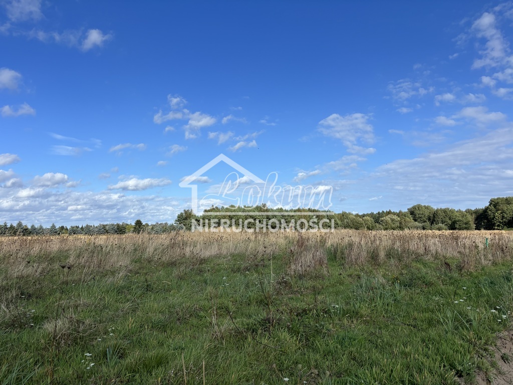 Działka budowlana 954&nbsp;m², Długołęka - zdjęcie 4