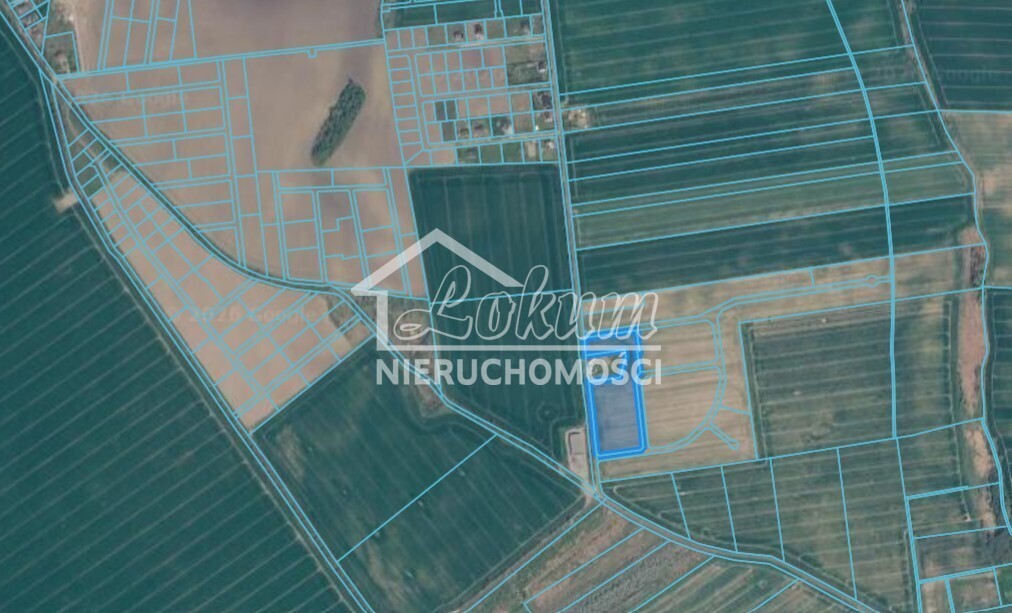 Działka inwestycyjna 1,76&nbsp;ha, Pyrzyce, Czerwonomłyńska - zdjęcie 3
