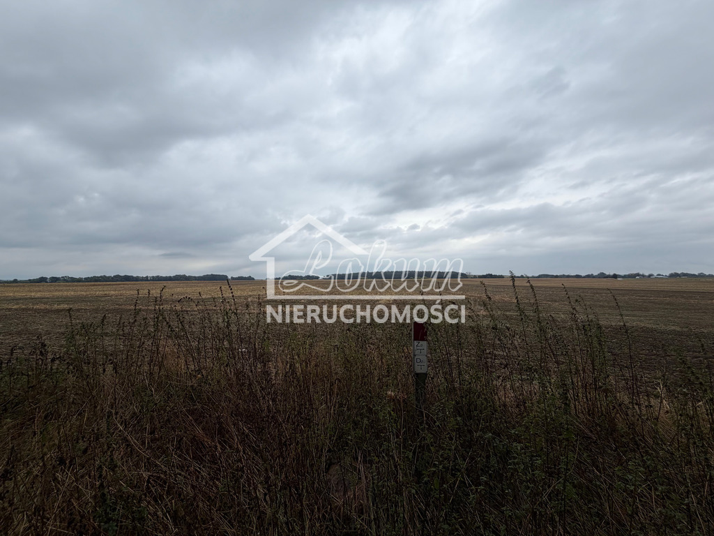 Działka inwestycyjna 1,76&nbsp;ha, Pyrzyce, Czerwonomłyńska - zdjęcie 5