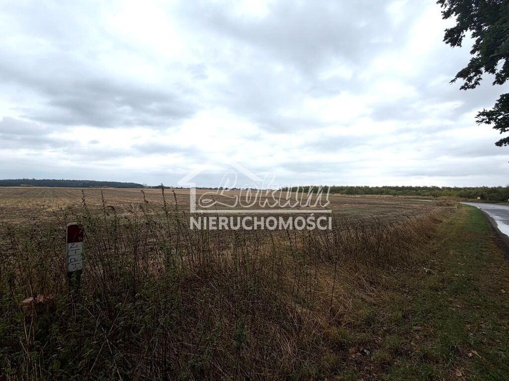 Działka inwestycyjna 1,76&nbsp;ha, Pyrzyce, Czerwonomłyńska - zdjęcie 2