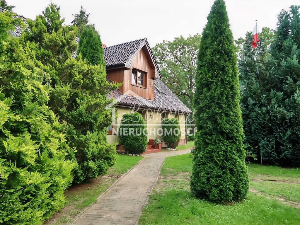 Lokal biurowy na sprzedaż, 146&nbsp;m², Kusin - zdjęcie 4