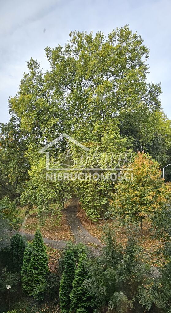 Mieszkanie 40,15&nbsp;m², Szczecin, Jana Żupańskiego - zdjęcie 10