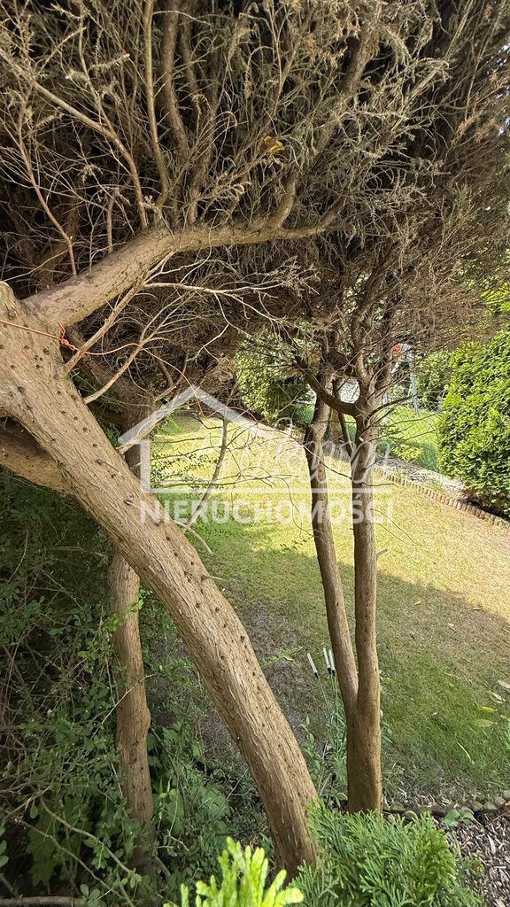Mieszkanie 53&nbsp;m², Szczecin, Fioletowa - zdjęcie 14