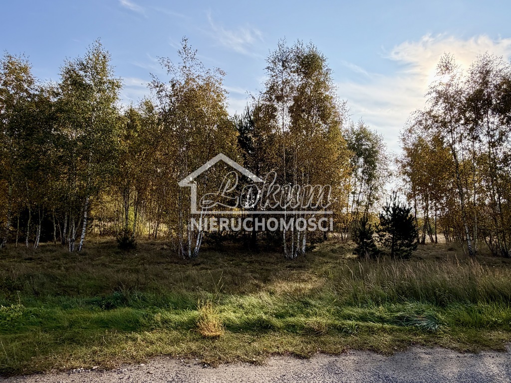 Działka budowlana 3980&nbsp;m², Miękowo - zdjęcie 1