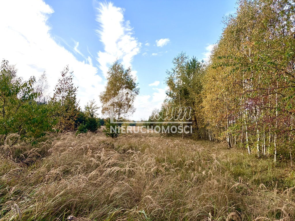 Działka budowlana 3980&nbsp;m², Miękowo - zdjęcie 4